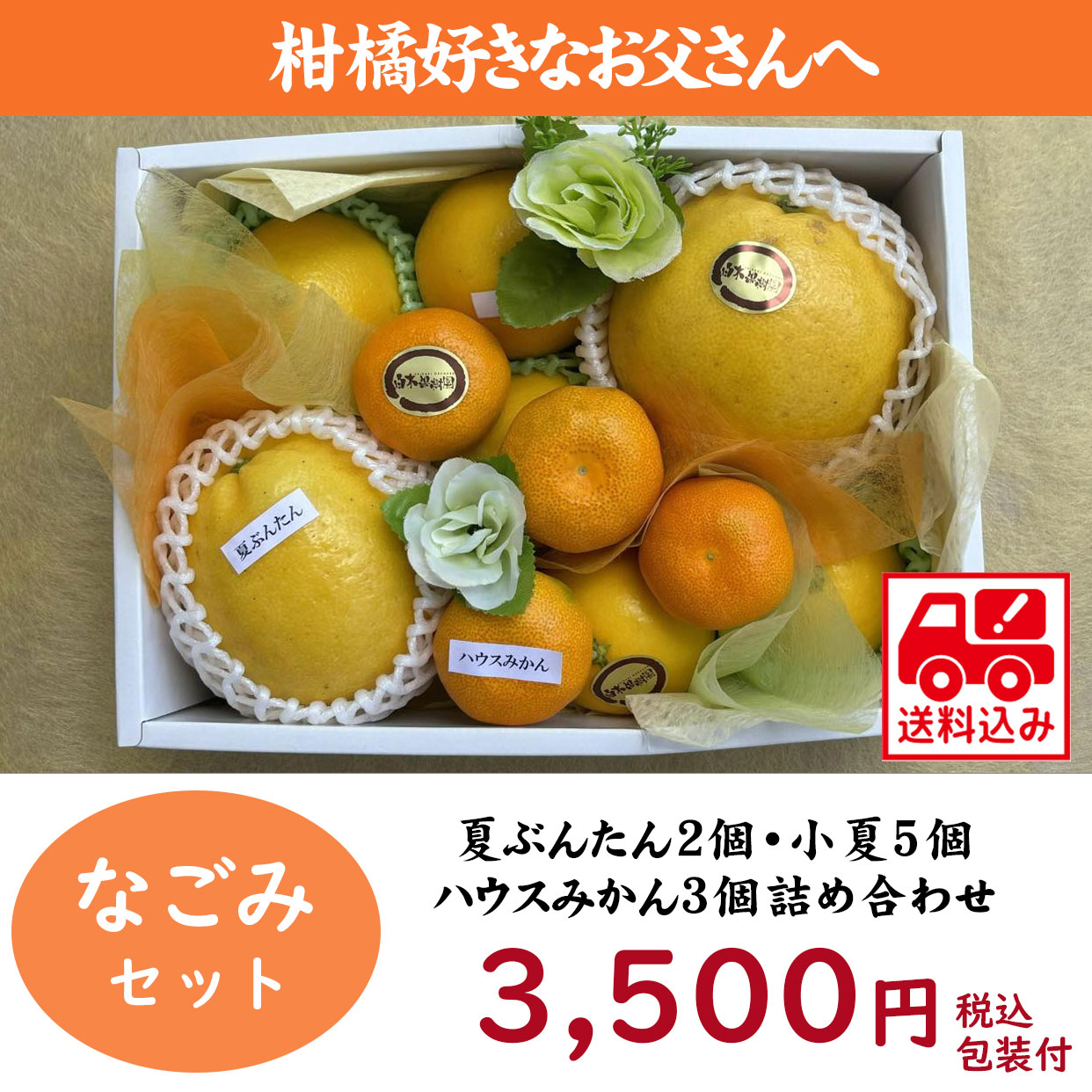 柑橘なごみセット
