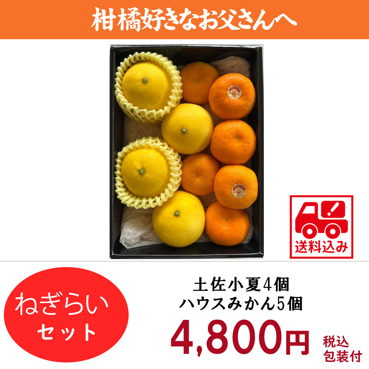 小夏とハウスみかんのセット