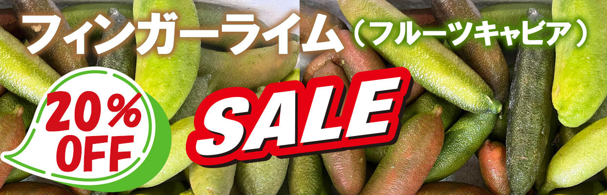 20％OFF