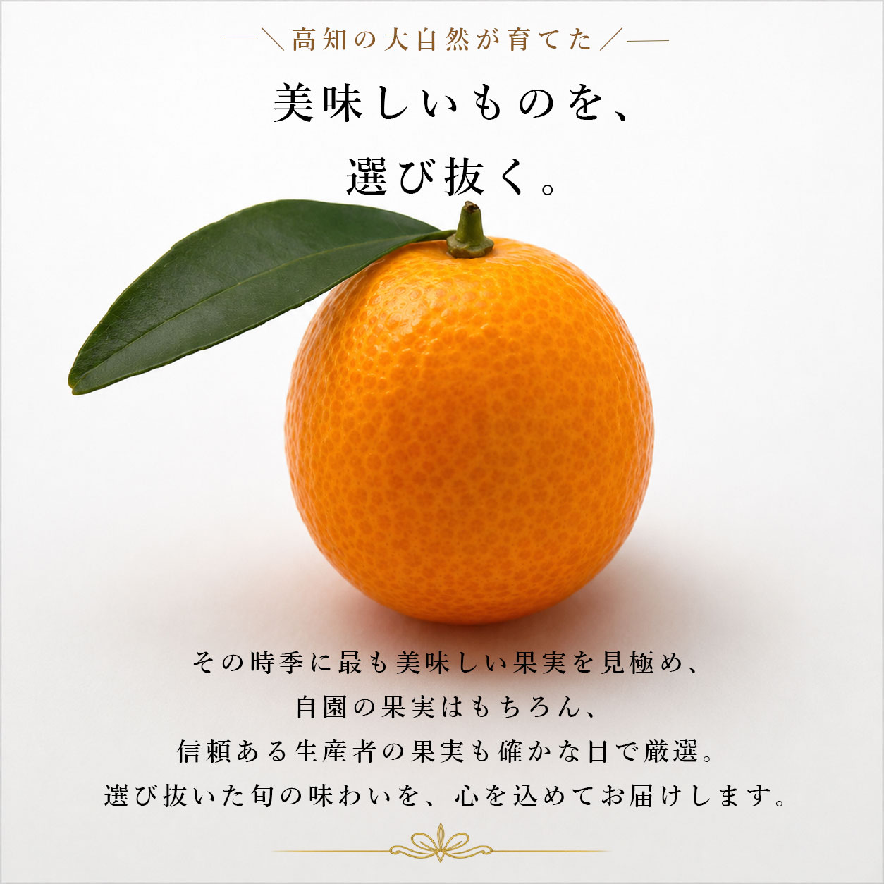 美味しいものを、選び抜く。