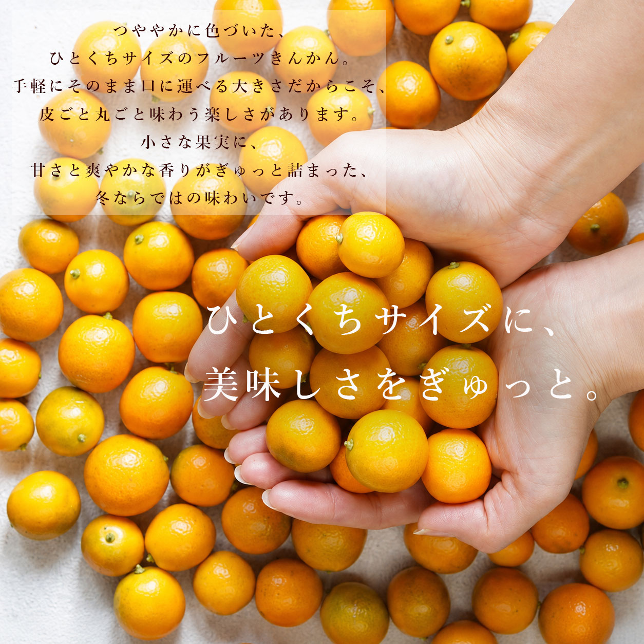 ひとくちサイズに、美味しさをぎゅっと。
