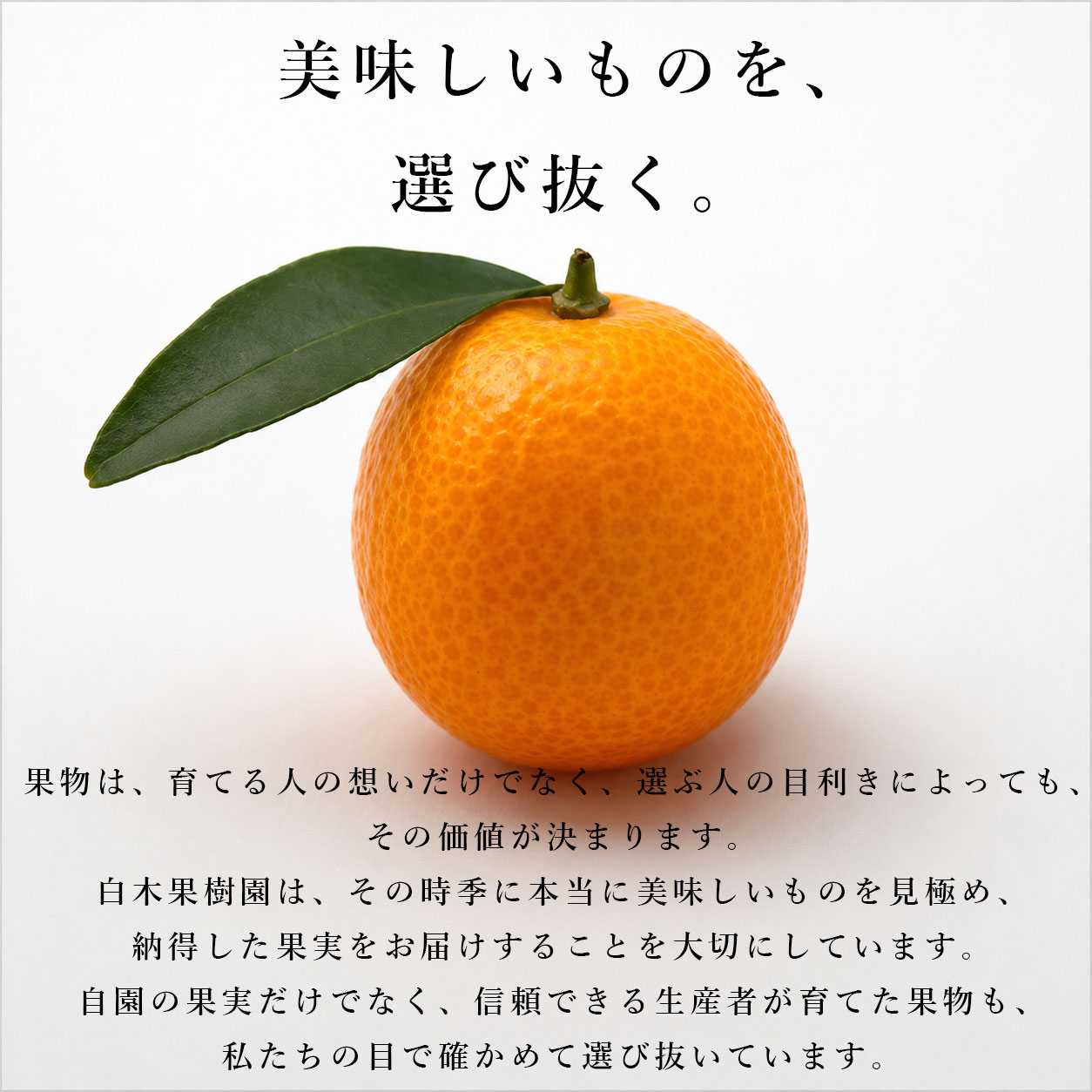 美味しいものを、選び抜く。
