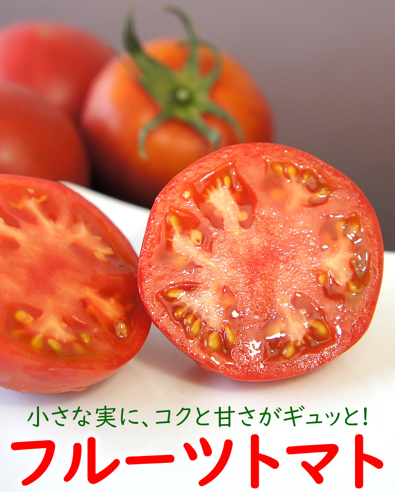小さなトマトにコクと甘さがギュッと！高知県産フルーツトマト