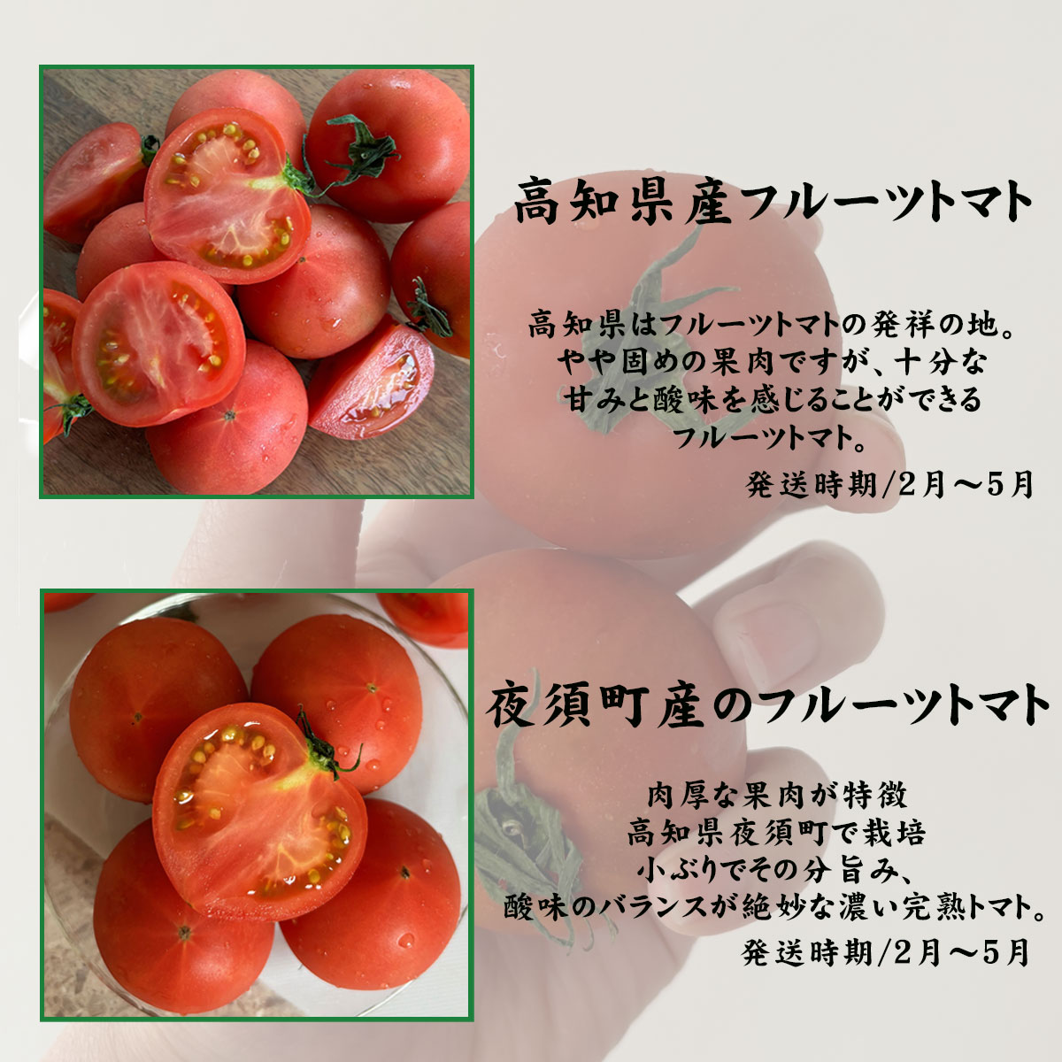 トマトの種類別