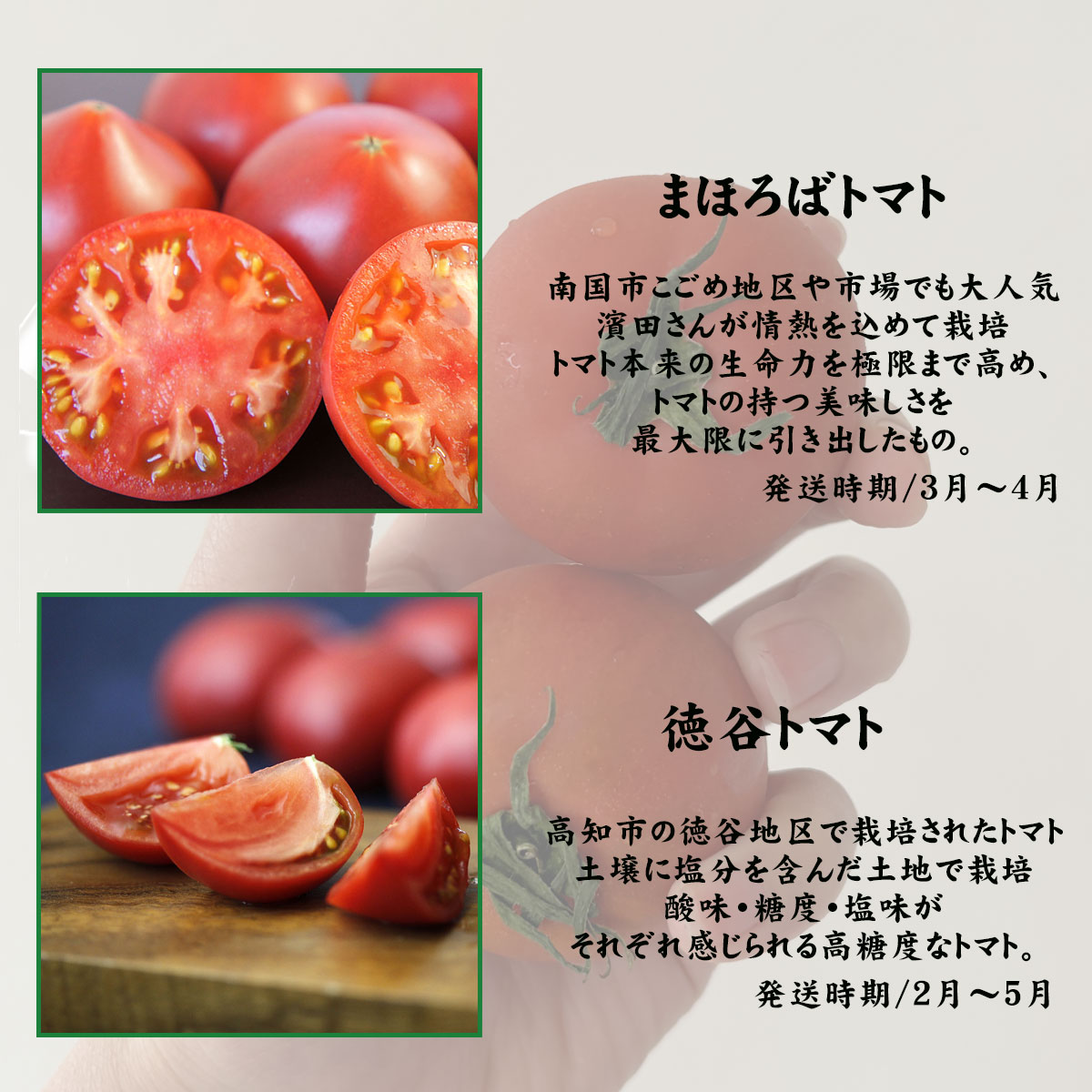 トマトの種類別