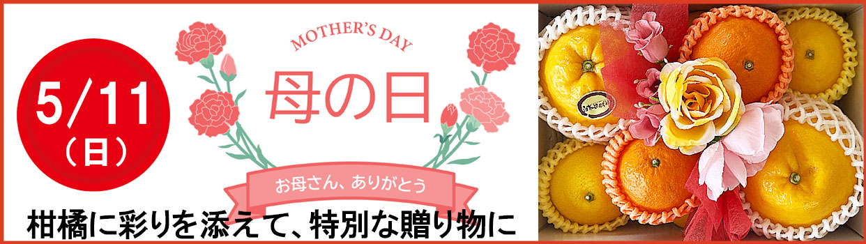 母の日ギフト　柑橘　セット