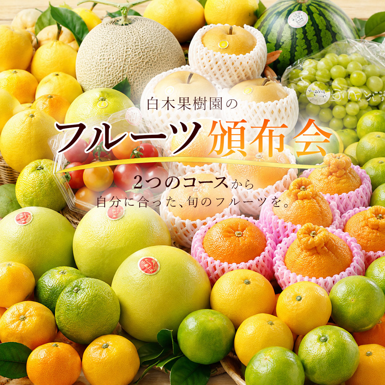 一年を通して旬を楽しむ
