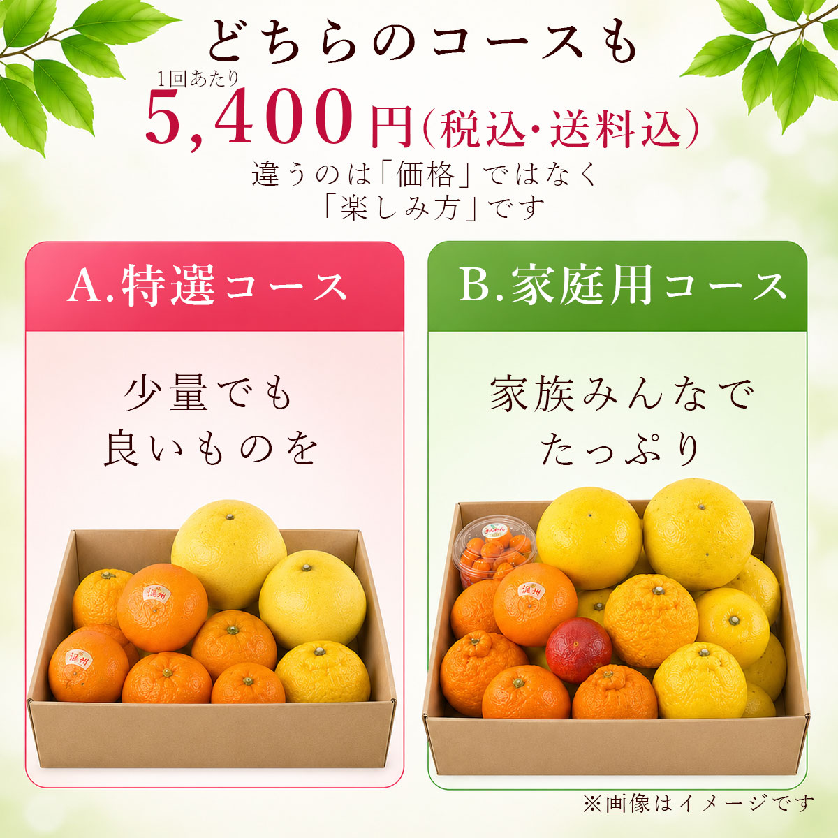 白木果樹園が選び抜きます