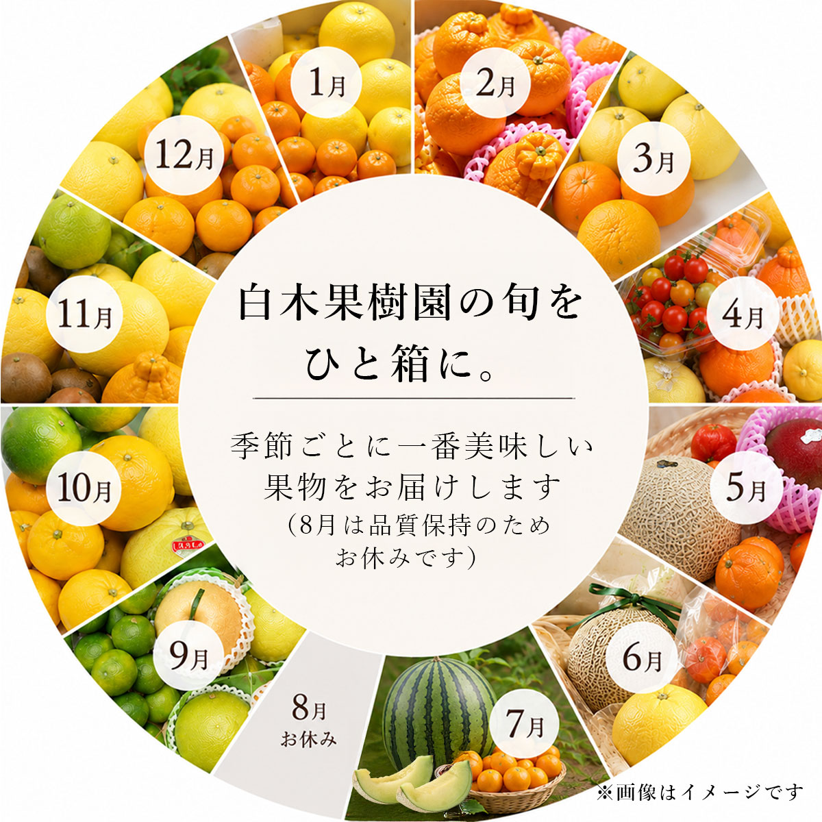 白木果樹園の旬を、ひと箱に。