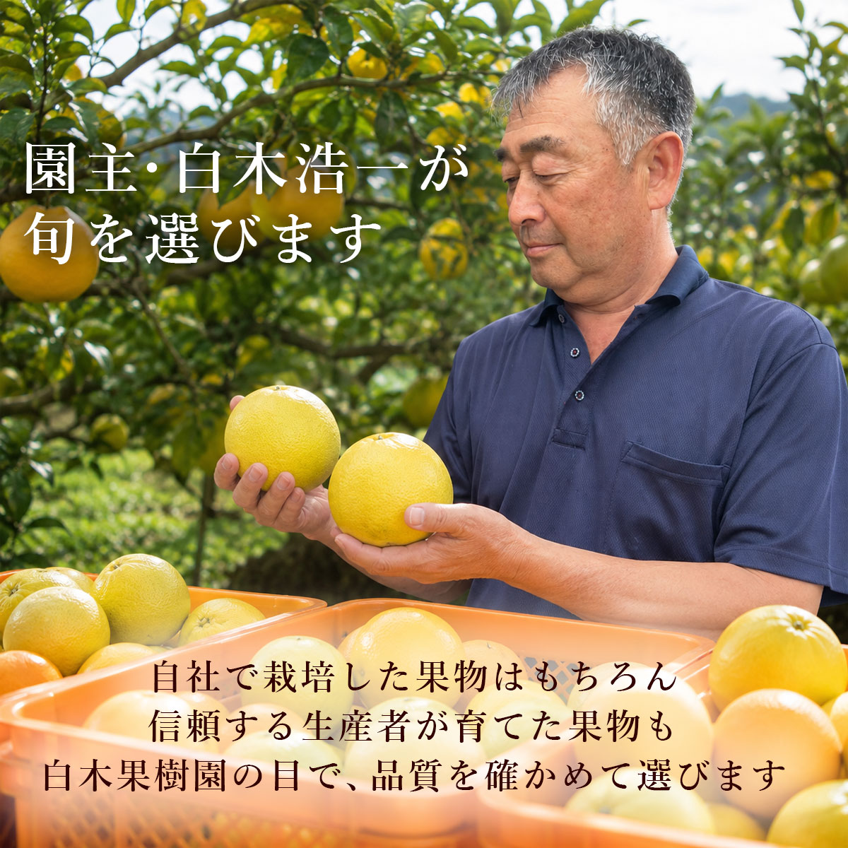 園主・白木浩一が旬を選びます。