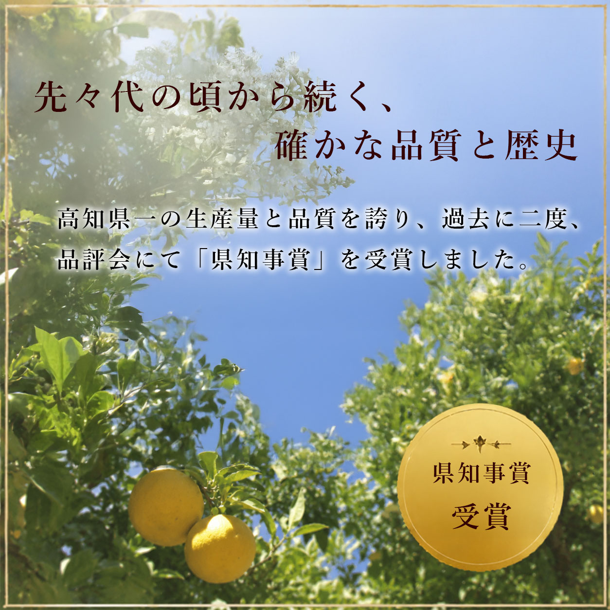 受け継がれる伝統の味