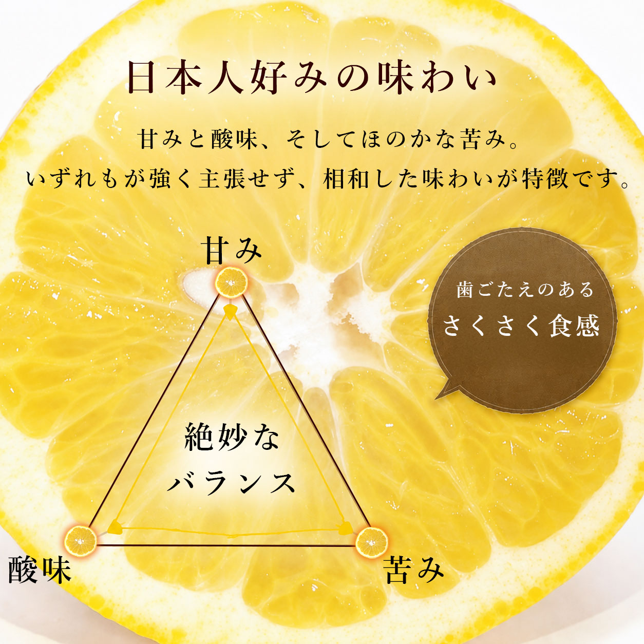 甘さだけじゃない、大人が選ぶ柑橘