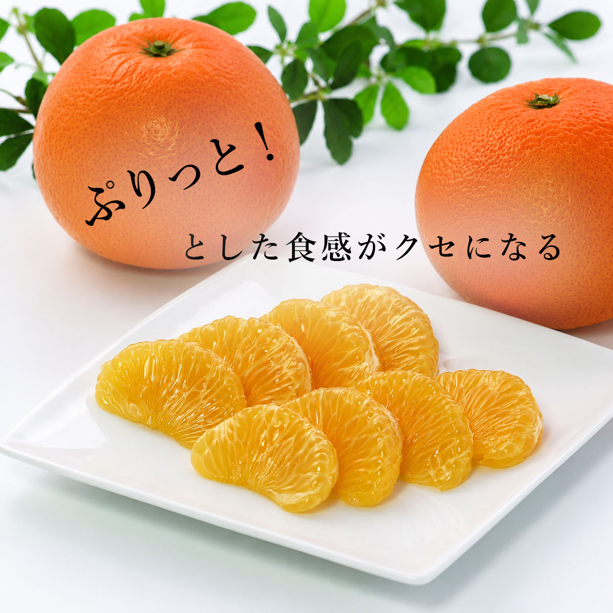 ぷりっとした食感がクセになる