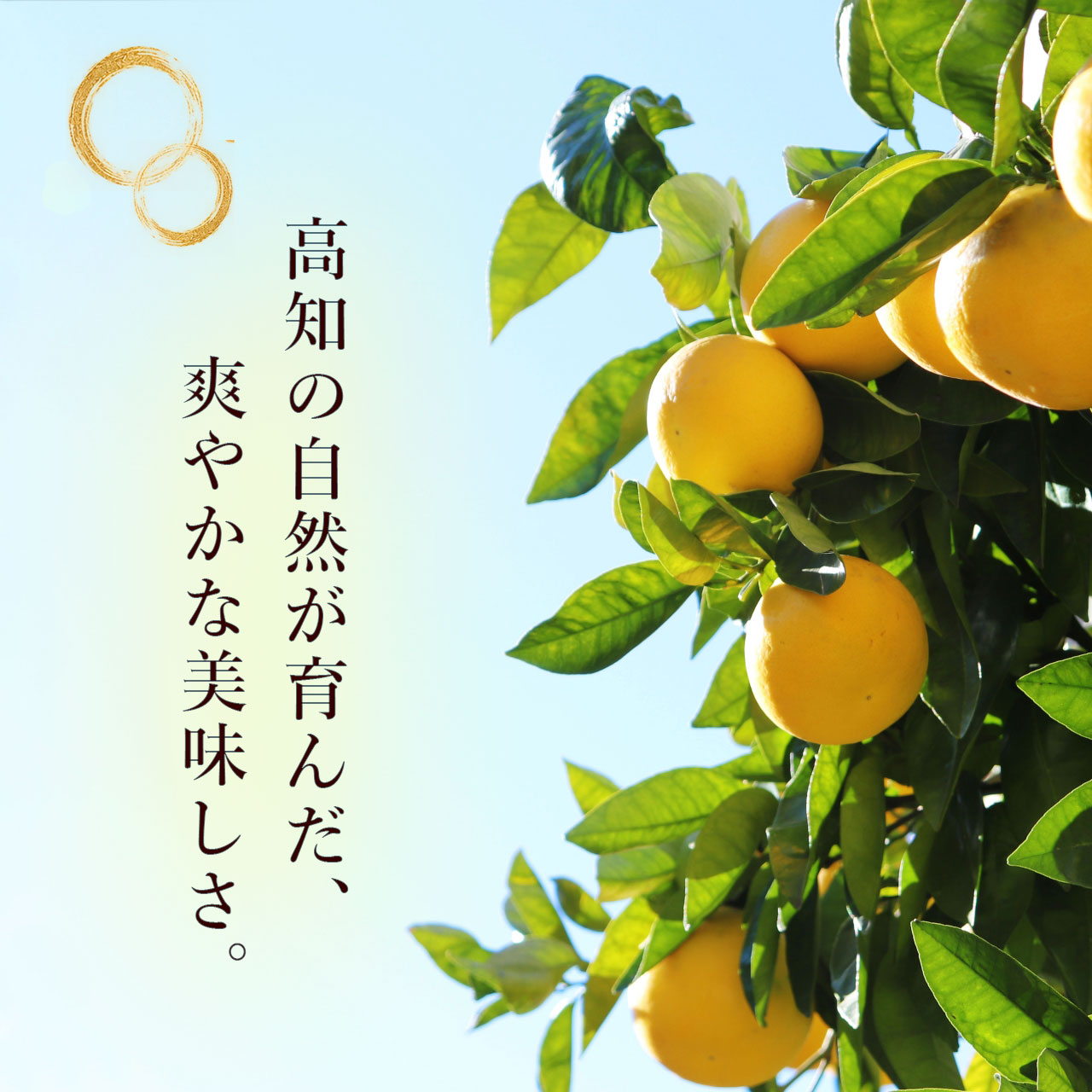 受け継がれる伝統の味
