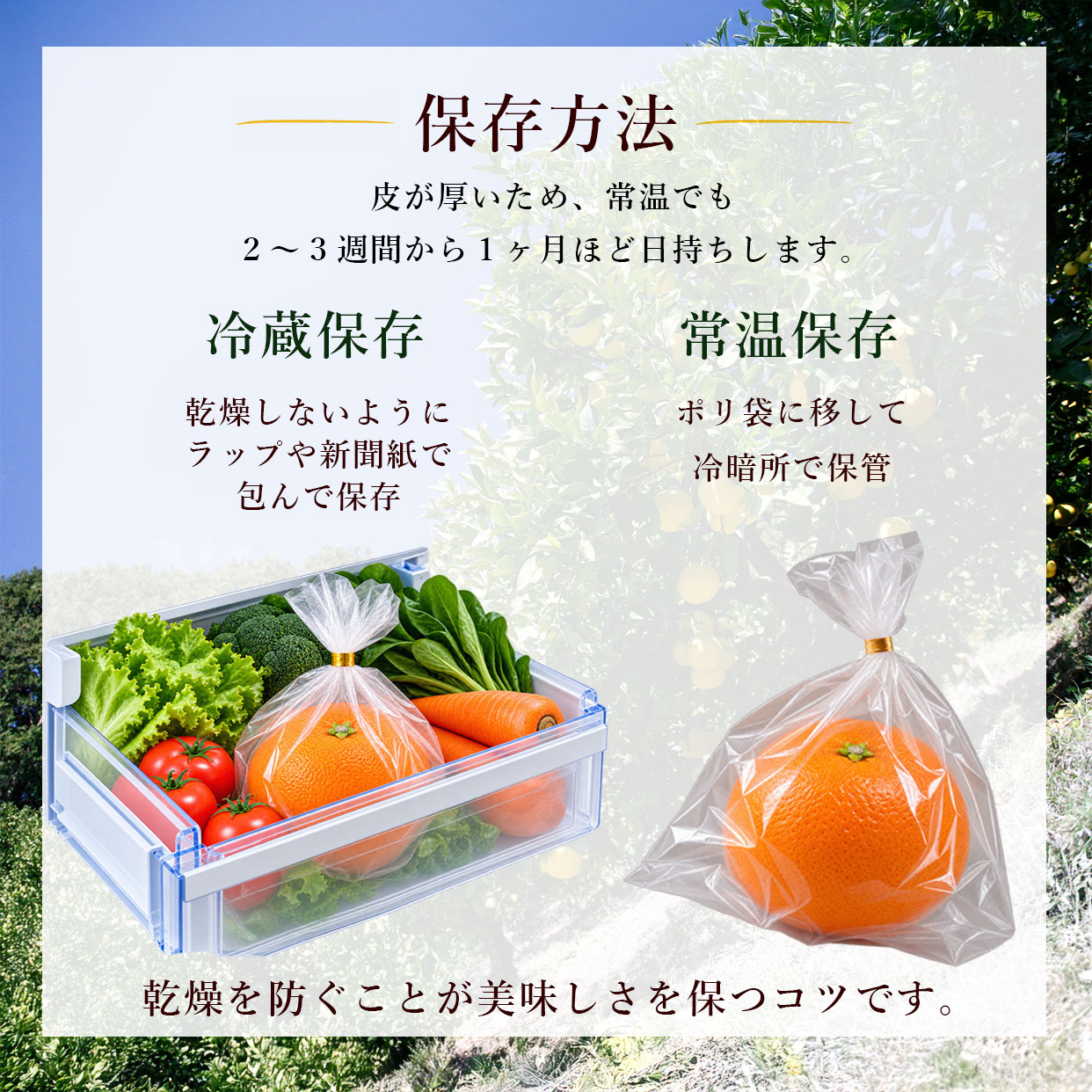 保存方法
