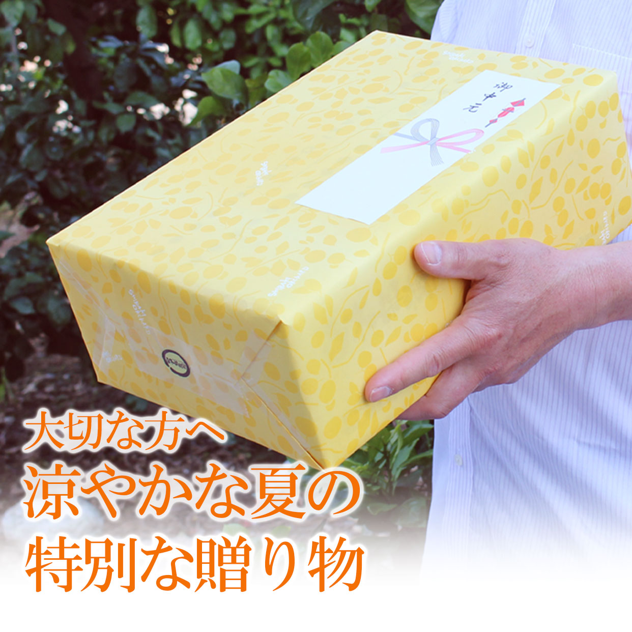 大切な方へ、涼やかな夏の特別な贈り物
