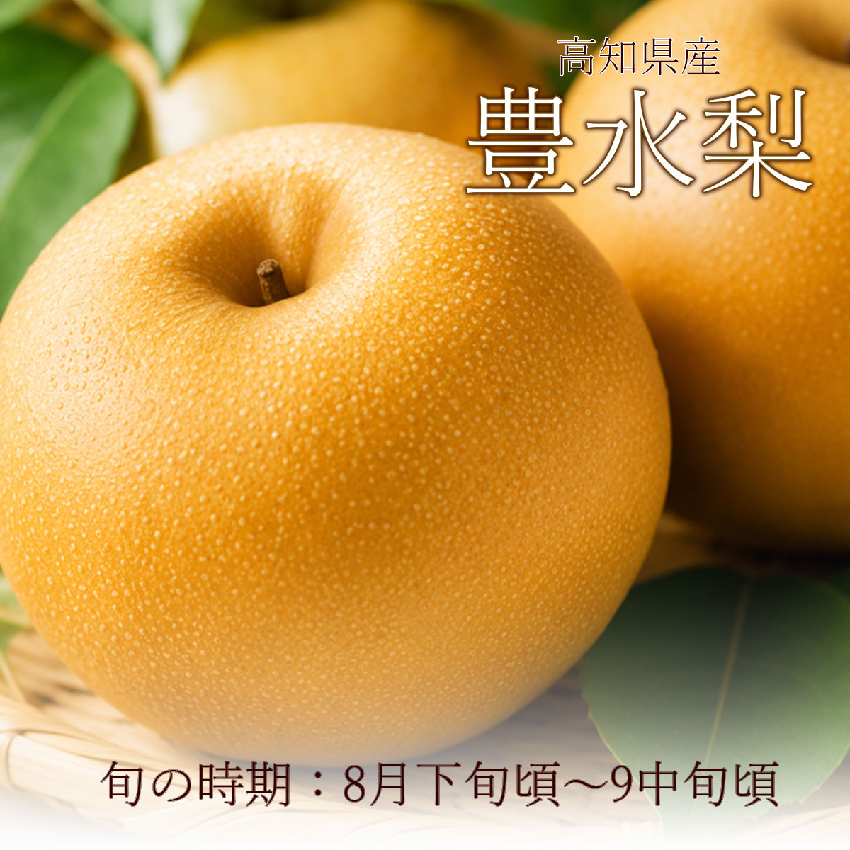 シャリっとみずみずしい、高知の豊水梨
