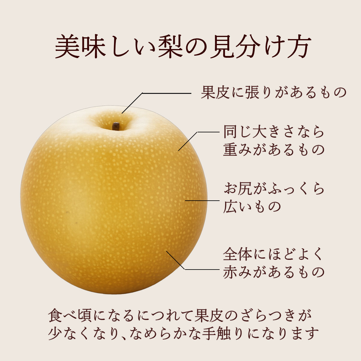 おいしい梨の見分け方
