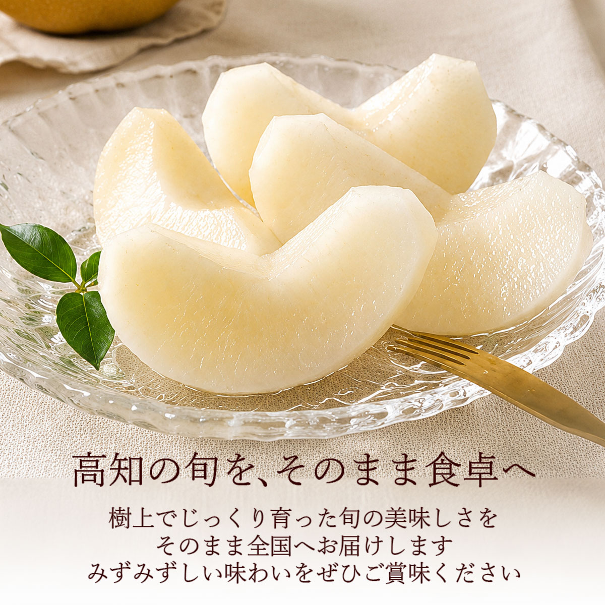 高知の旬を、食卓へ