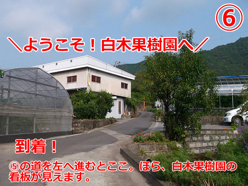 迷子になったら、お電話ください!