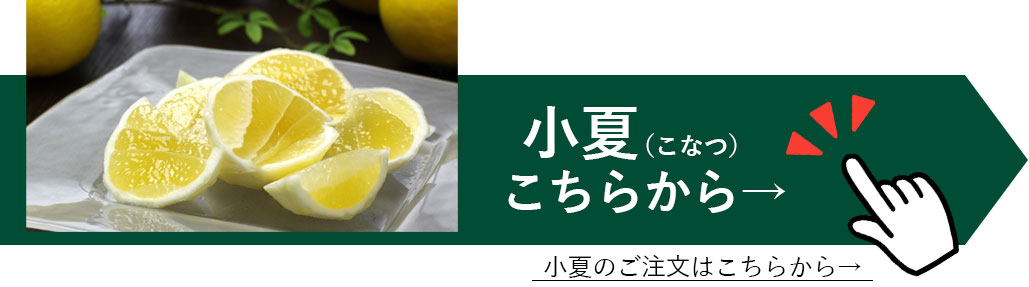 送料込】水晶文旦 特選ご贈答用 大玉8個or特大7個入り | 白木果樹園