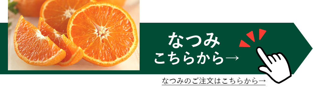 送料込】特選 立目産ポンカン2Ｌサイズ約5kg | 白木果樹園