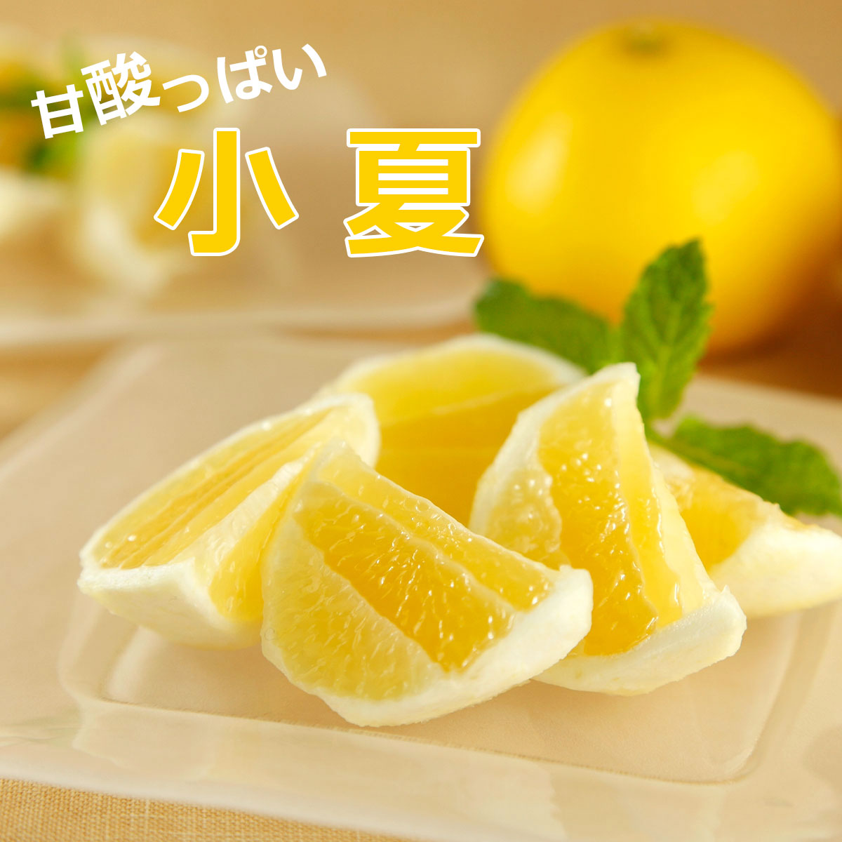 とさ小夏