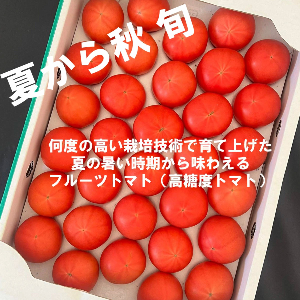 高知県仁淀川上流で生産
