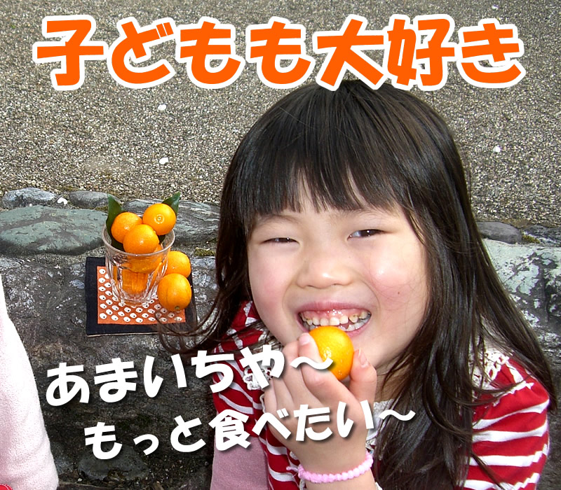 子どもも大好き！甘い！フルーツキンカンを食べる女の子