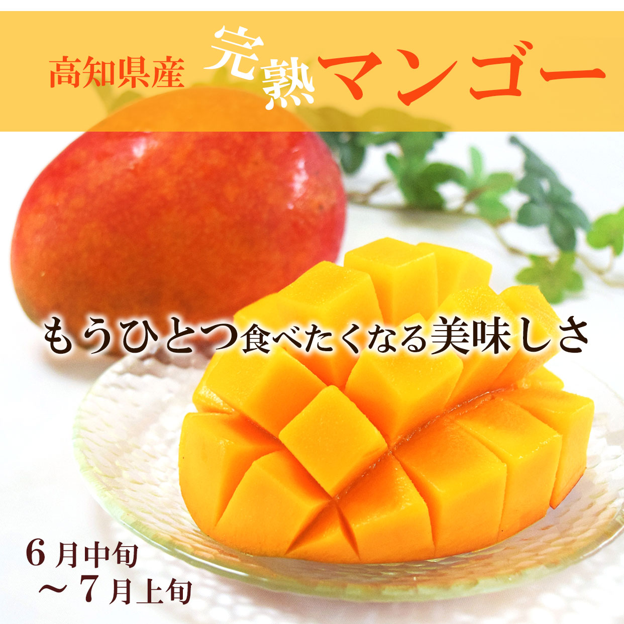 もう一つ食べたくなる美味しさ 高知県産完熟マンゴー 旬は6月上旬~7月中旬