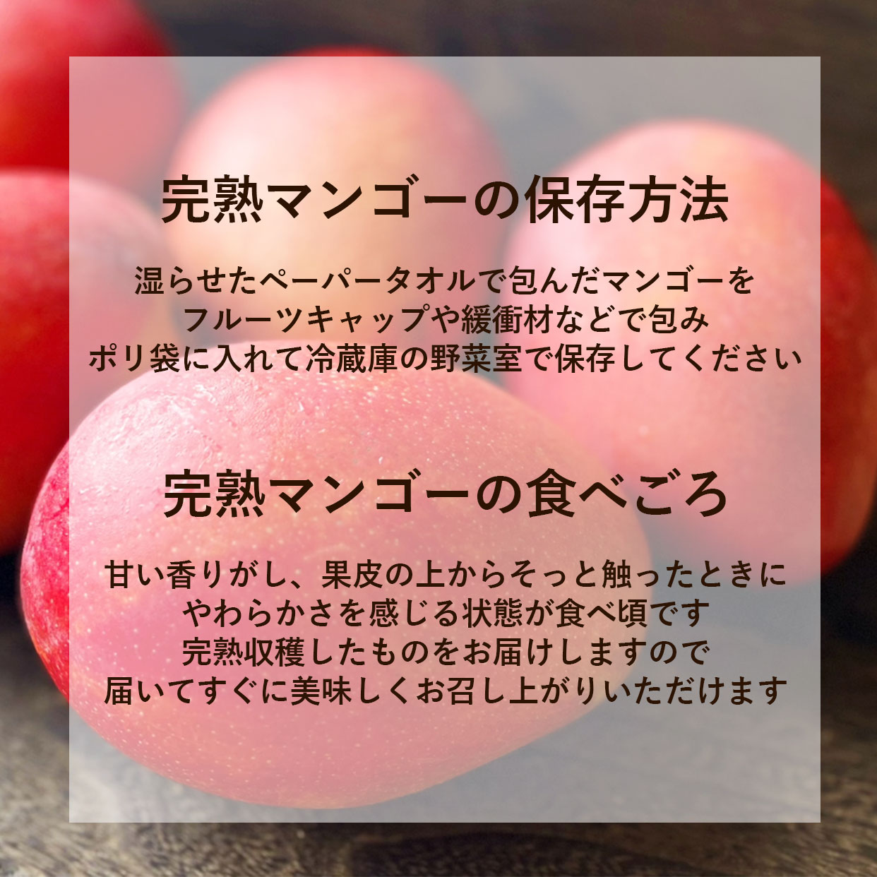 完熟マンゴーの保存方法と食べ頃