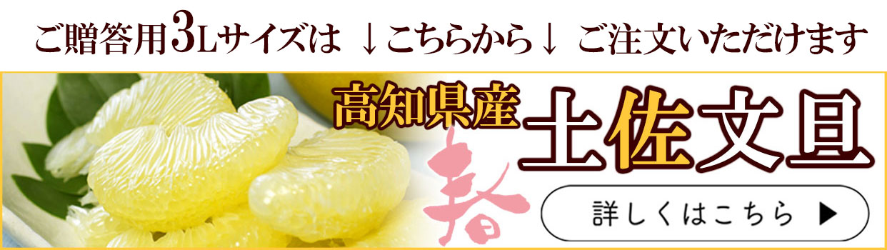 土佐文旦特選秀品3L大玉or4L特大約10kg【送料込】 | 白木果樹園