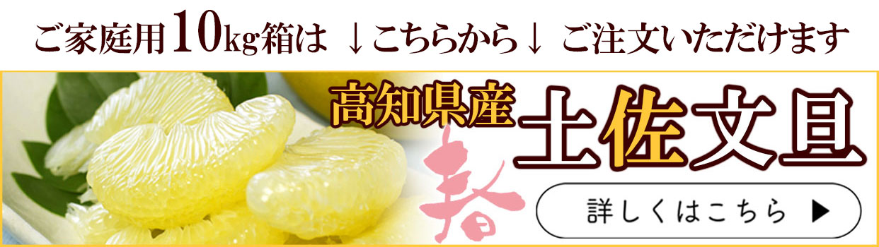 土佐文旦わけありご家庭用B級品 約10kg【送料込】 | 白木果樹園
