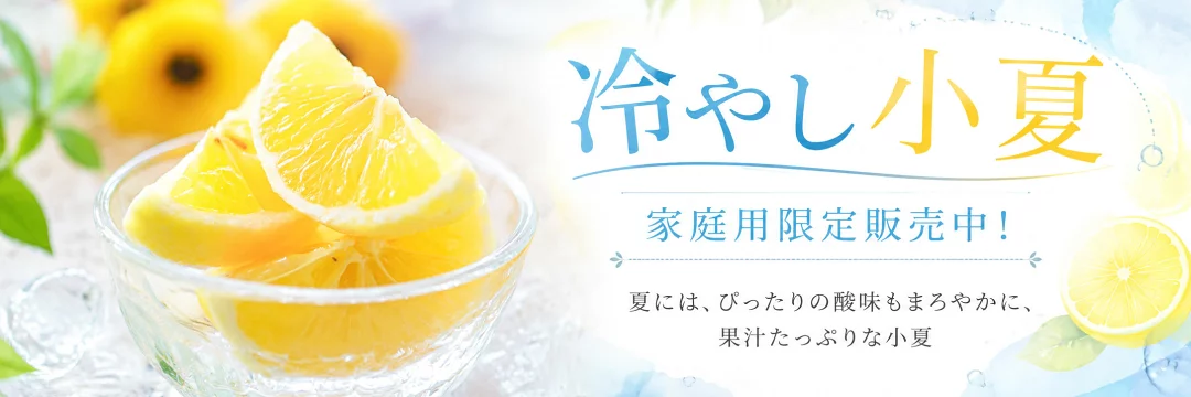冷やし小夏