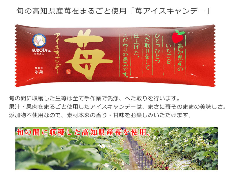 旬の高知県産苺をまるごと使用「苺アイスキャンデー」