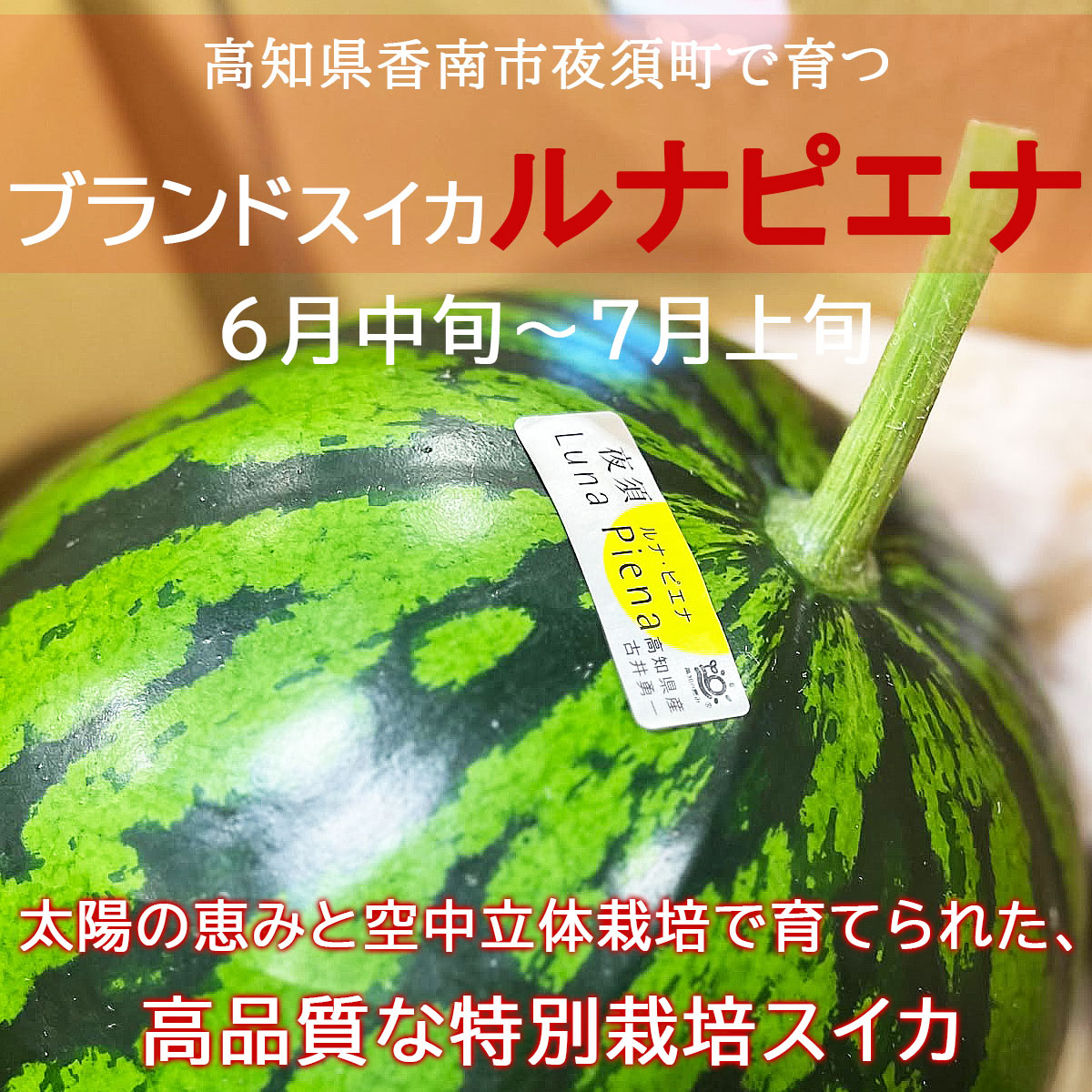 高品質な特別栽培スイカ
