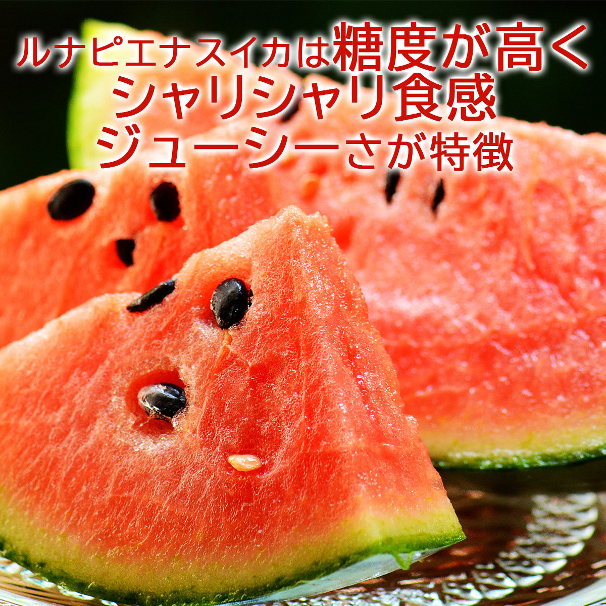 糖度が高くジューシーさが特徴