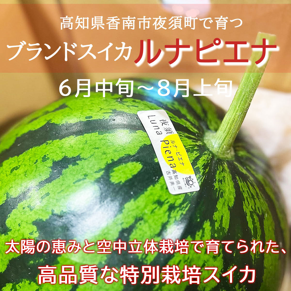 高品質な特別栽培スイカ