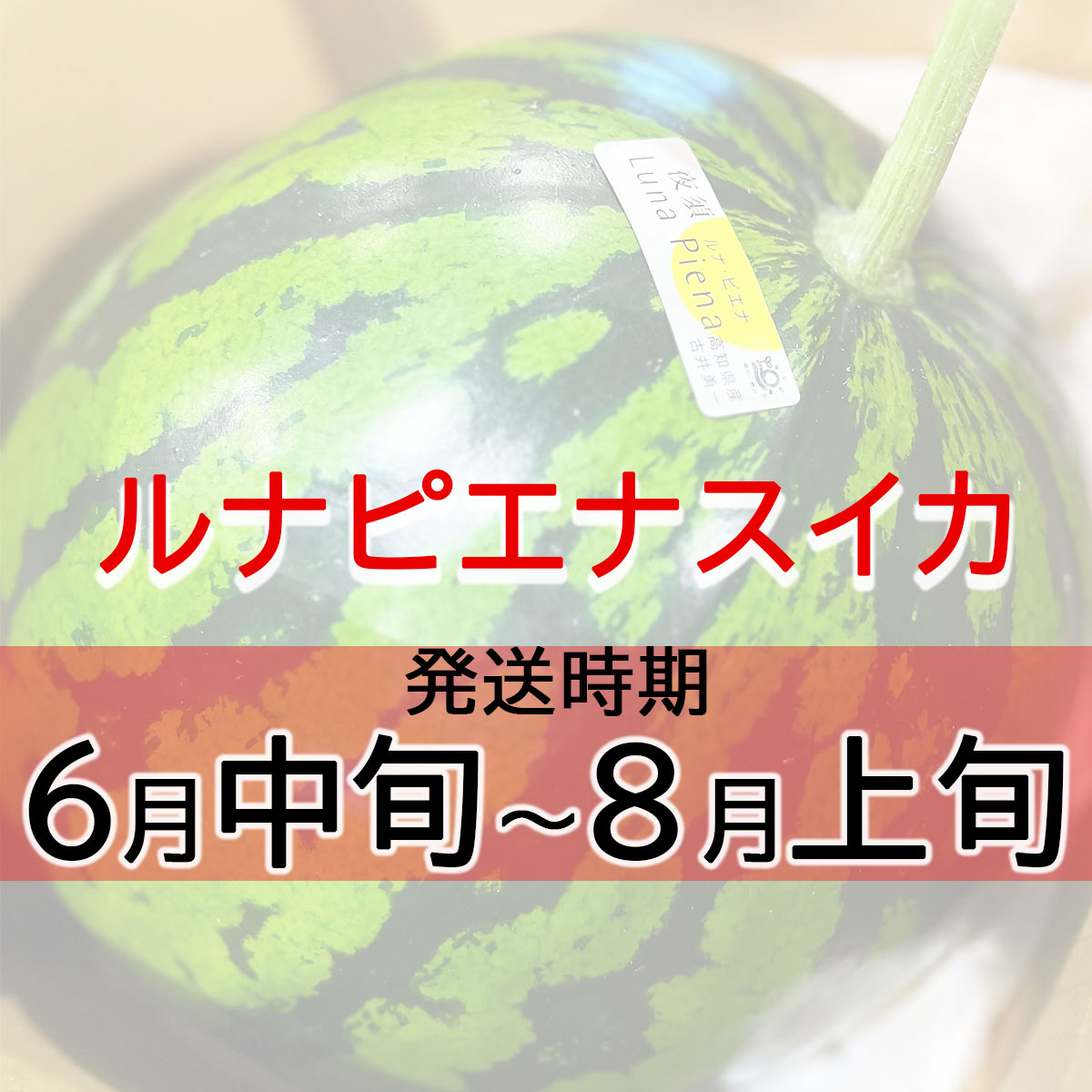 発送時期
