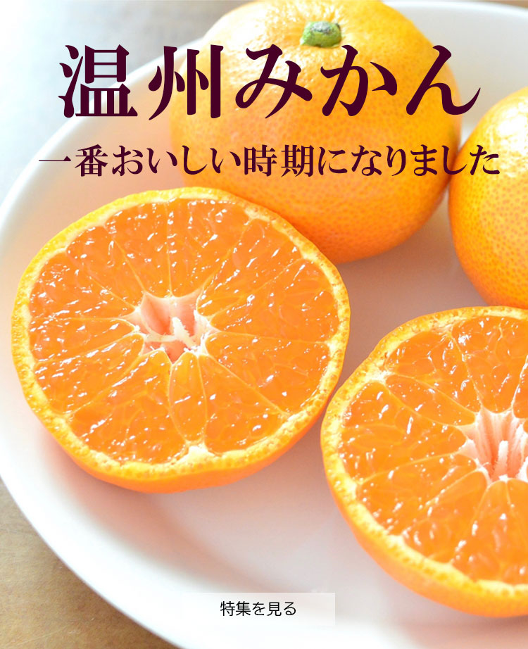 /main-visual-sp/masp-2023mikan.jpg
