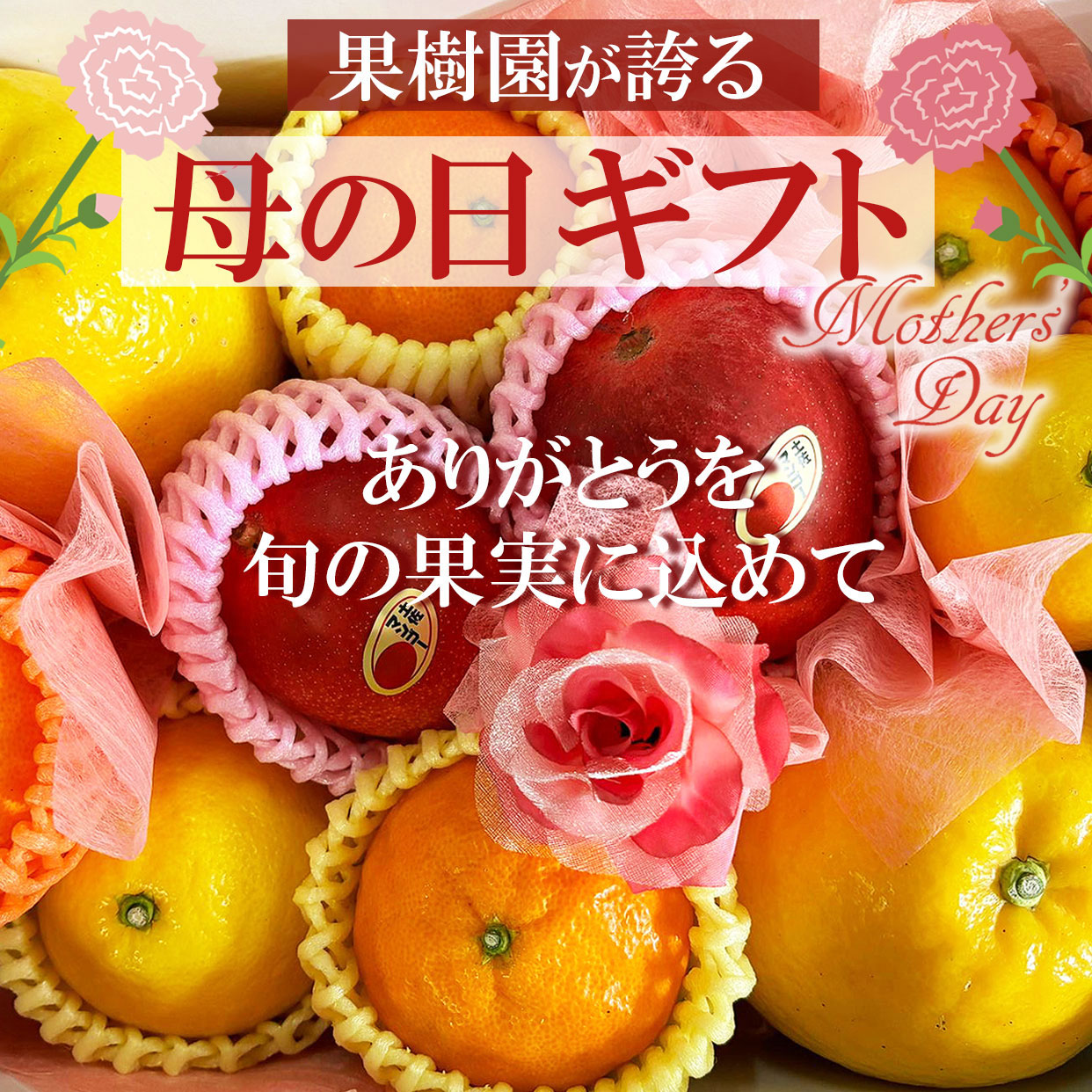 母の日ギフト　ありがとうを旬の果実に込めて