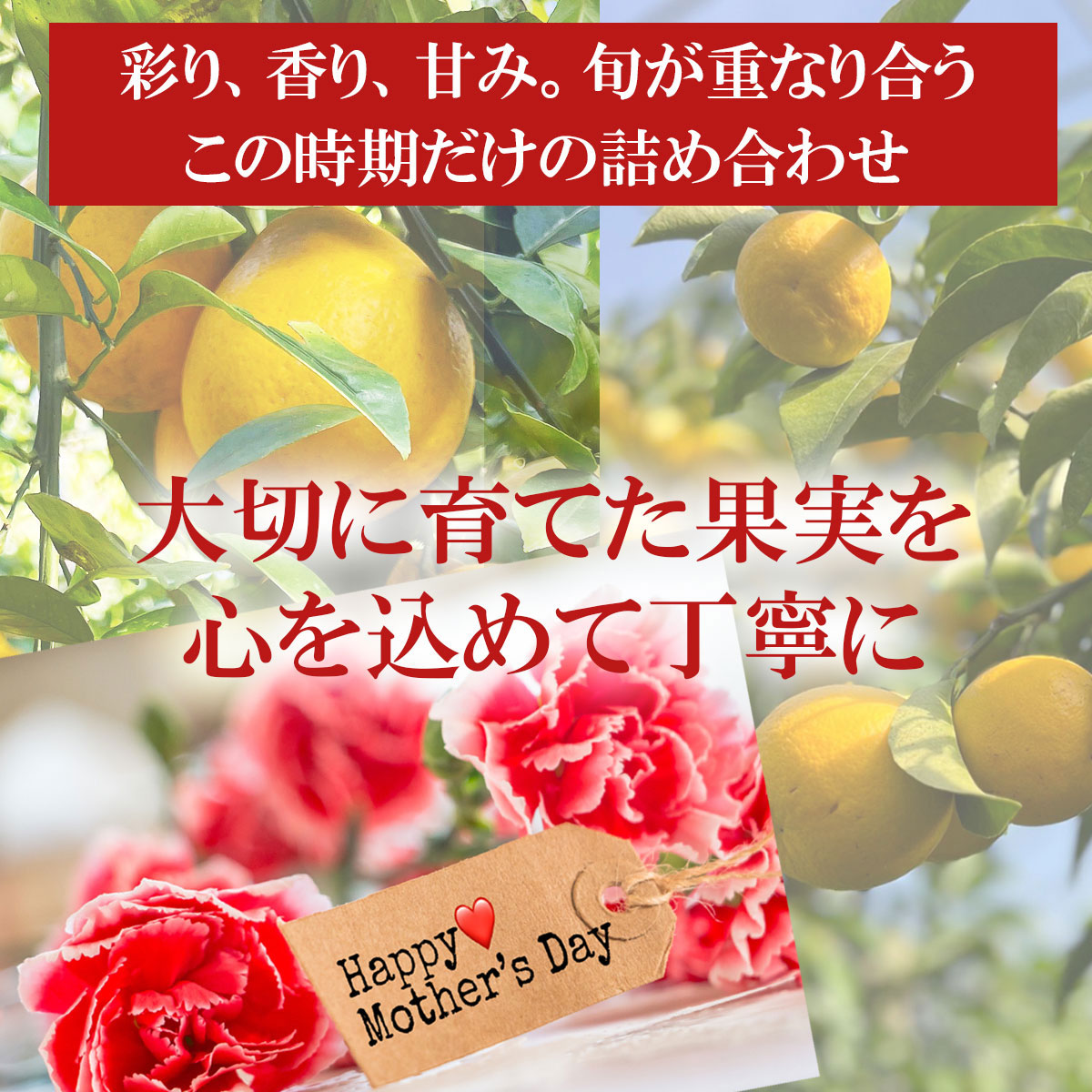 大切に育てた果実を心を込めて丁寧に