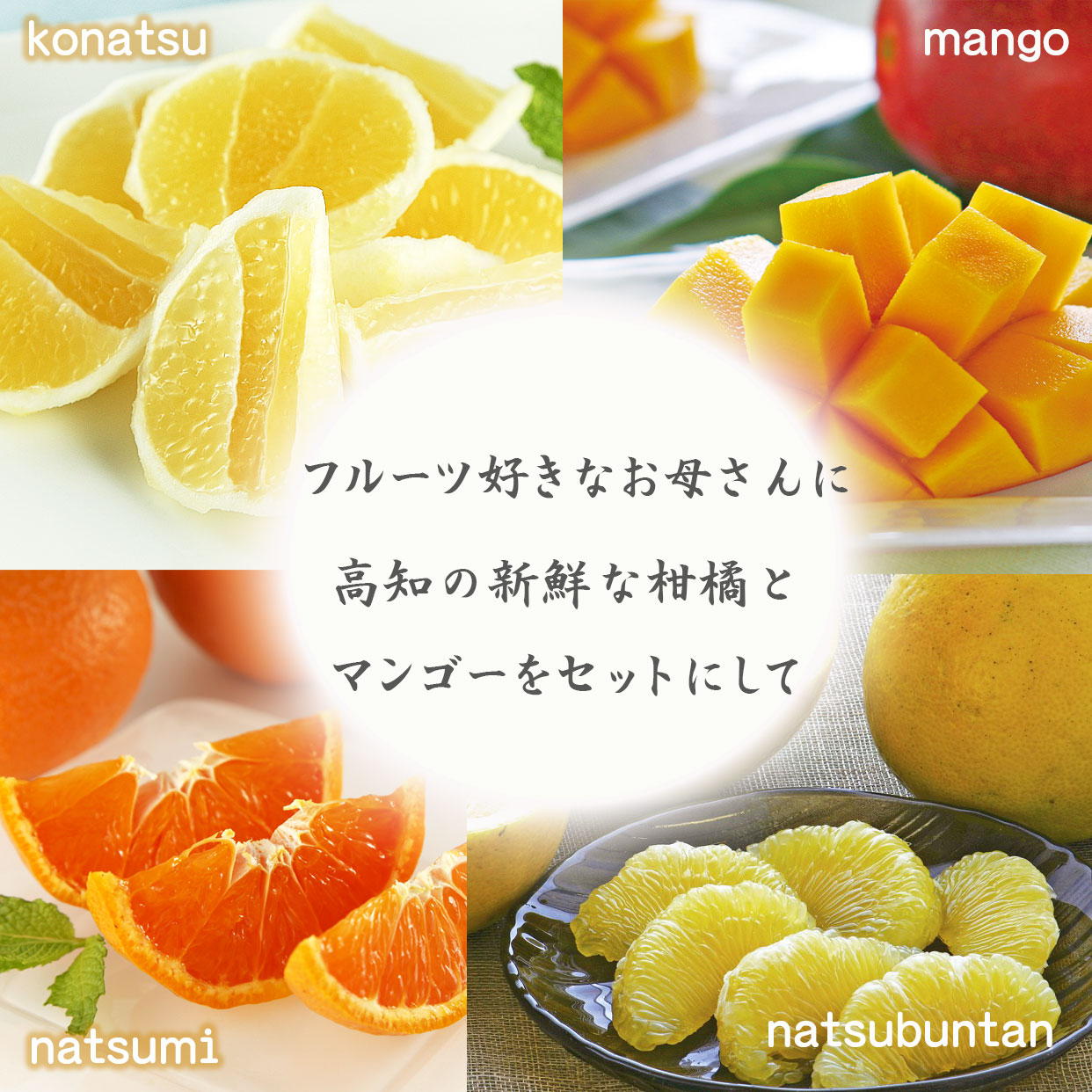 高知の新鮮な柑橘　小夏　なつみ　夏ぶんたんとマンゴーのセット