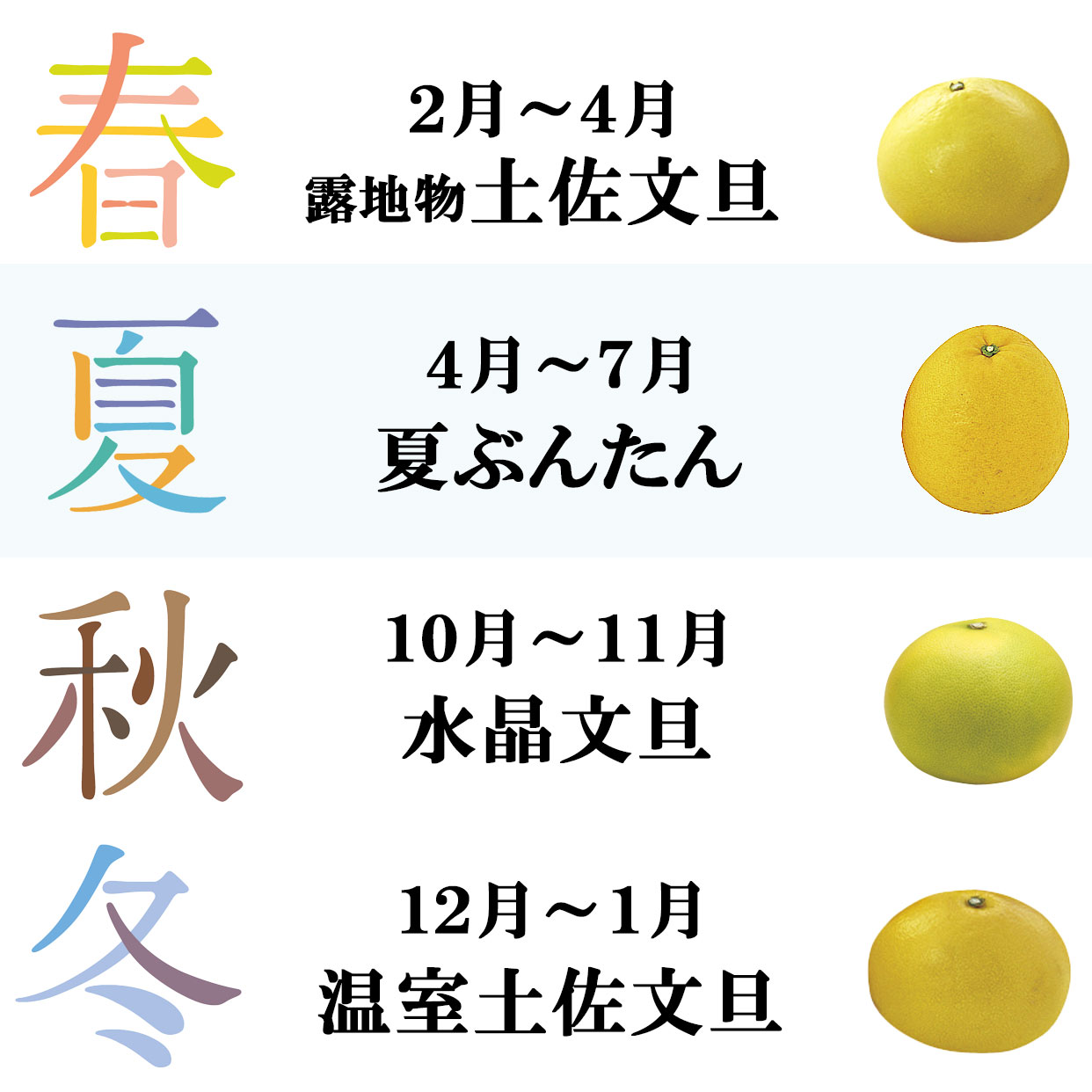 夏文旦（河内晩柑）