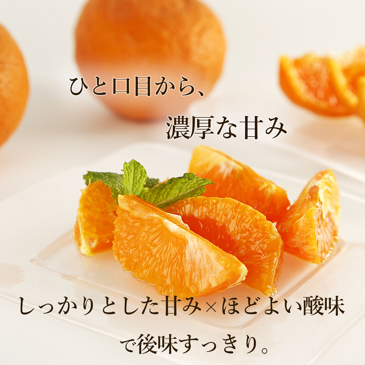 なつみは初夏に実る特別な柑橘。