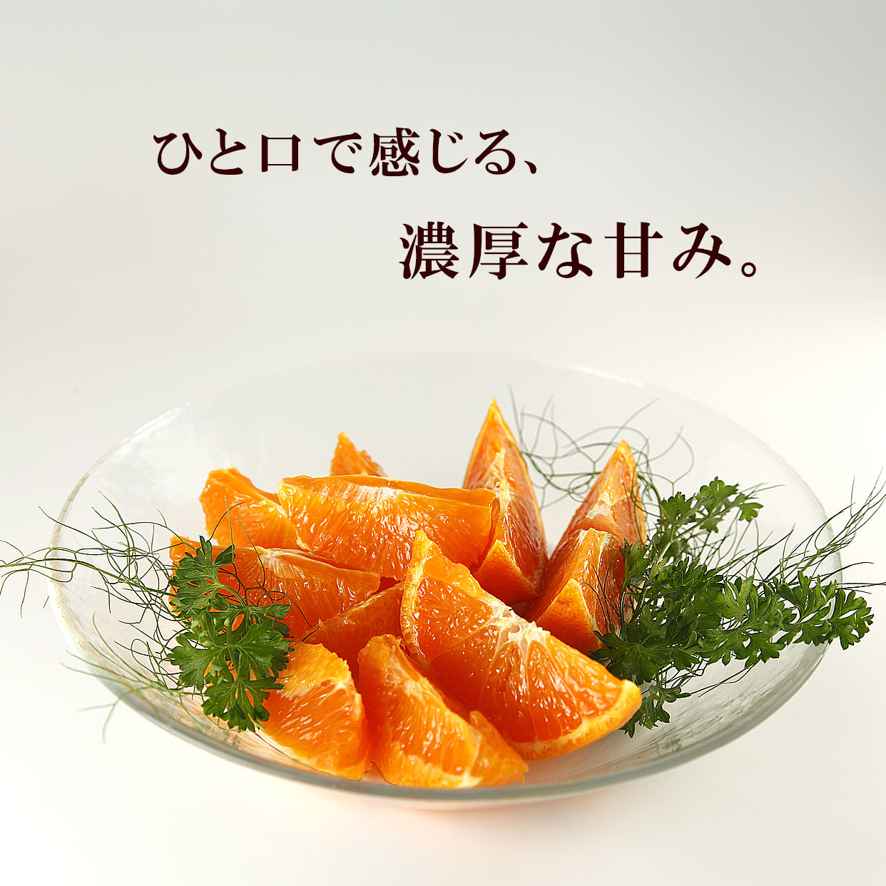 ひと口目から、濃厚な甘み。