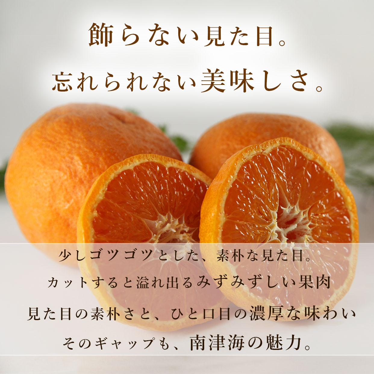 見た目からは、想像できないおいしさ。