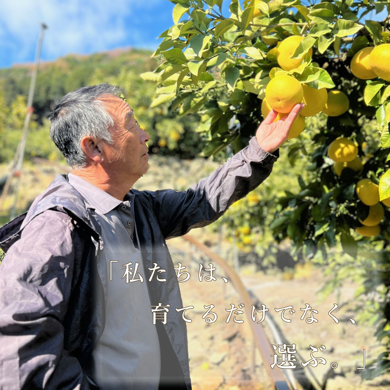 「私たちは、育てるだけでなく、選ぶ。」