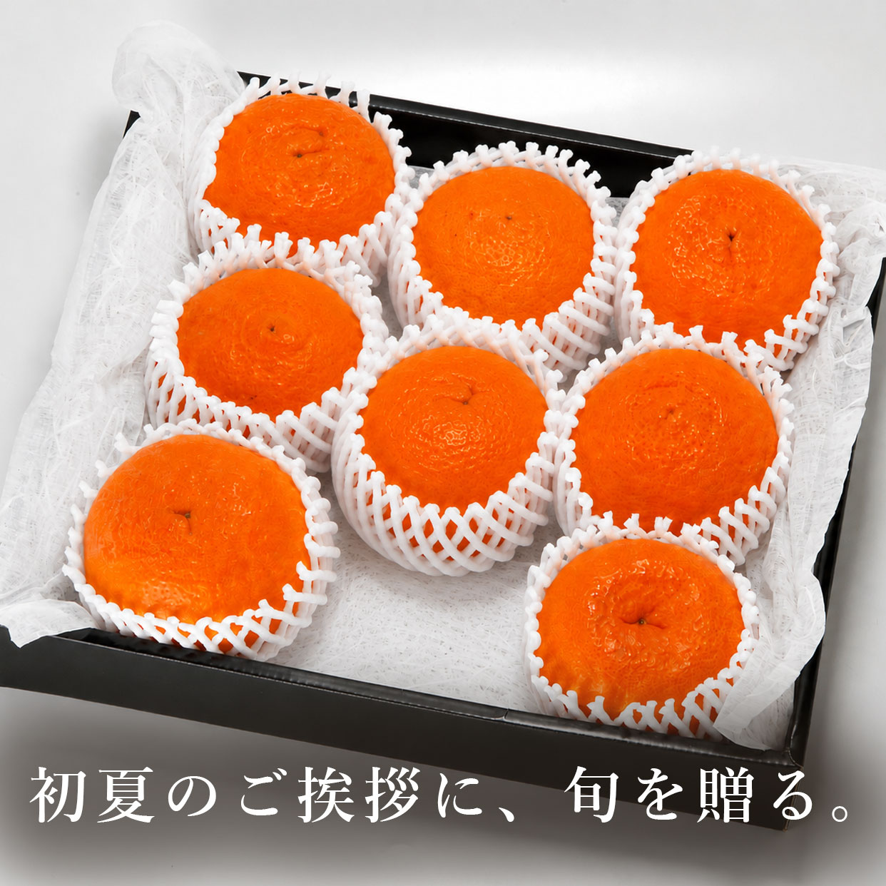 初夏の贈り物