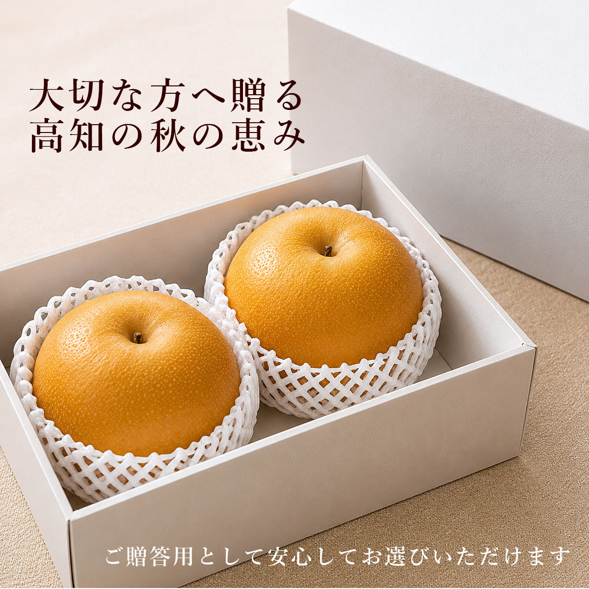 大切な方へ贈る、高知の秋の恵み